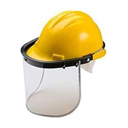 Face Shield